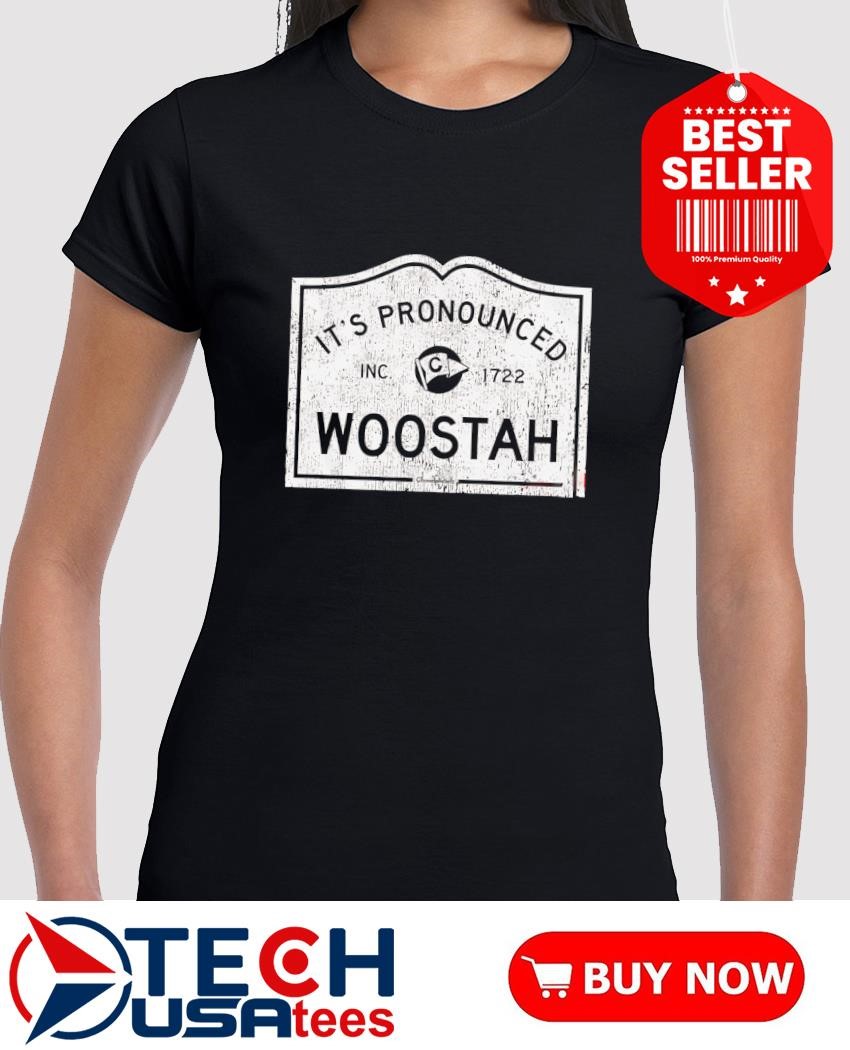 It's Pronounced Woostah city sign shirt, hoodie, sweater, long sleeve