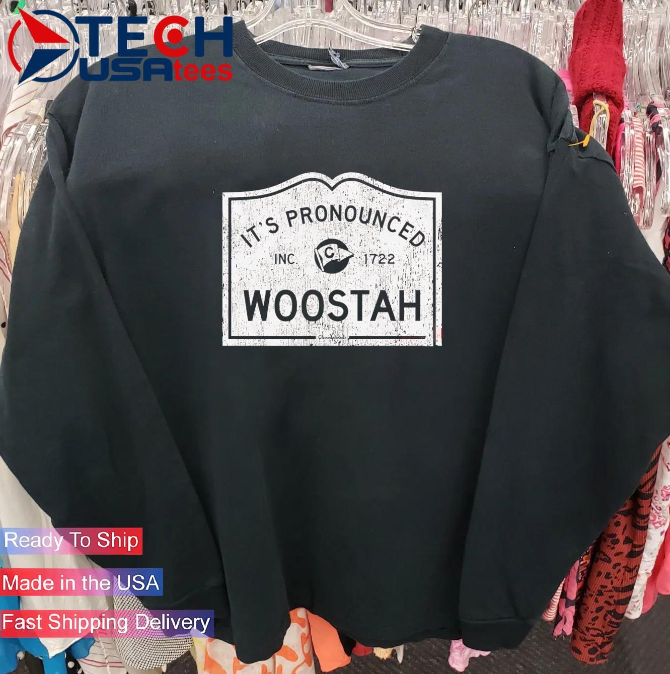 It's Pronounced Woostah city sign shirt, hoodie, sweater, long sleeve
